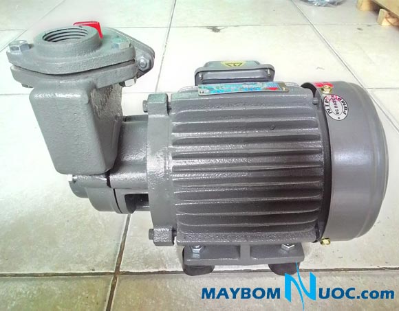 may-bom-nuoc-Nation-pump-NTP-HCP225-137-26T
