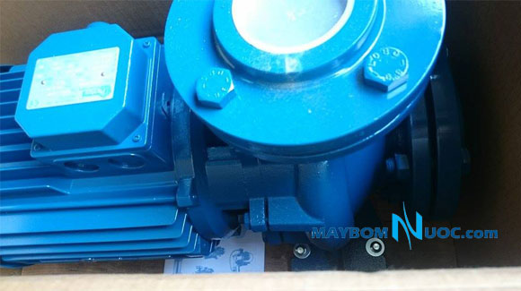 may-bom-nuoc-pentax-cong-nghiep-cm65-160b